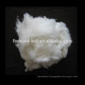 Pashmina/Cashmere fiber ,dehaired cashmere fibre